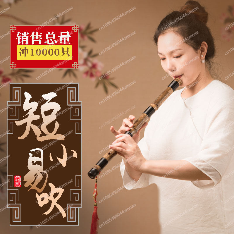 فلوت خيزران احترافي قصير بفتحة - مراجعة Musical Instrument You Blow وسعره