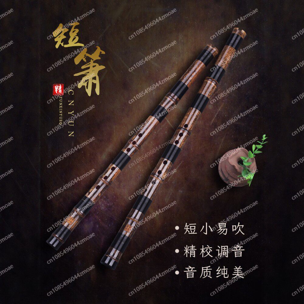 فلوت خيزران احترافي قصير بفتحة - مراجعة Musical Instrument You Blow وسعره