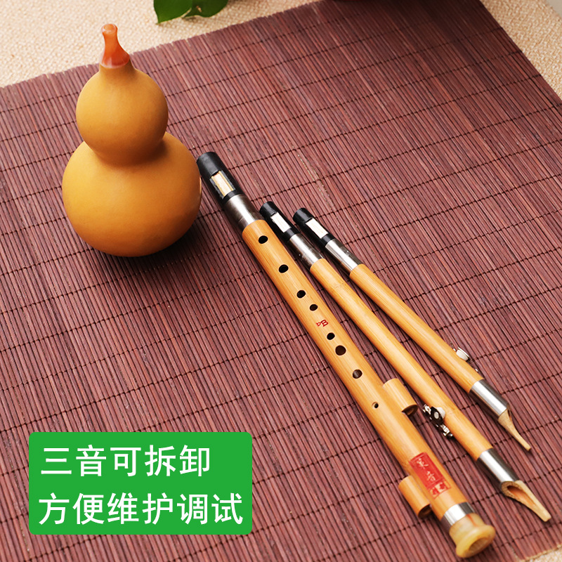 آلة موسيقية من الحرير على شكل  - مراجعة Musical Instrument You Blow وسعره