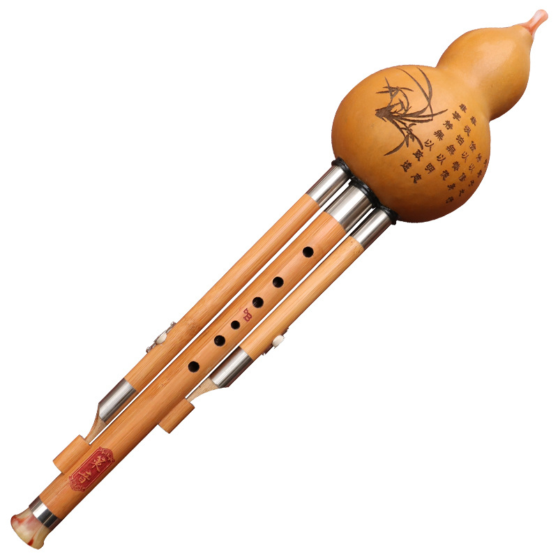 آلة موسيقية من الحرير على شكل  - مراجعة Musical Instrument You Blow وسعره