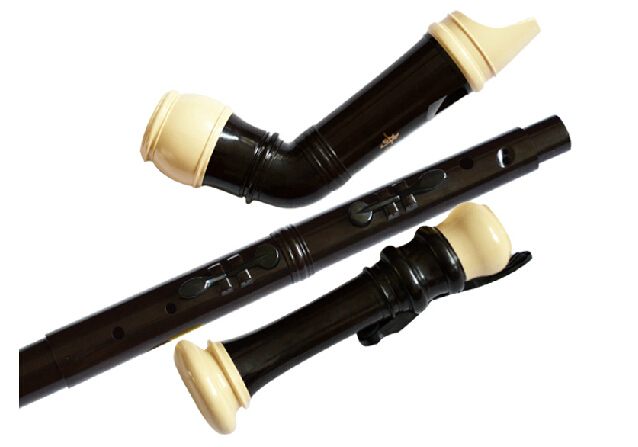 المهنية 8 ثقوب الباروك باس الر - مراجعة Musical Instrument In Chinese وسعره