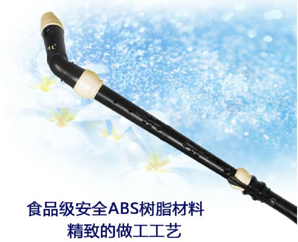 المهنية 8 ثقوب الباروك باس الر - مراجعة Musical Instrument In Chinese وسعره