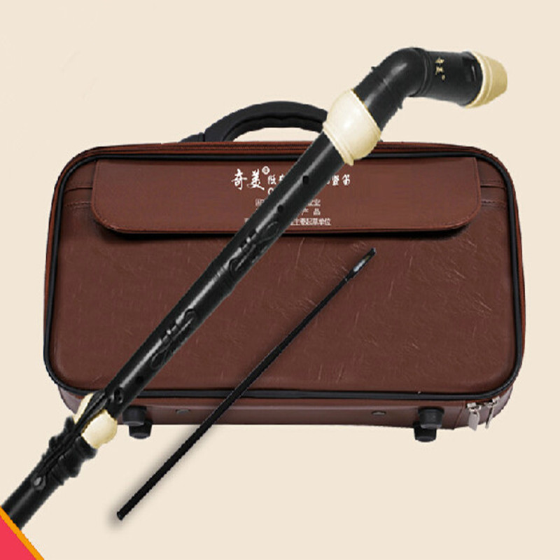 المهنية 8 ثقوب الباروك باس الر - مراجعة Musical Instrument In Chinese وسعره